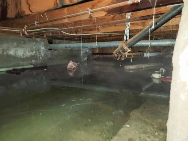 Best Water damage restoration specialists  in Bucyrus, OH