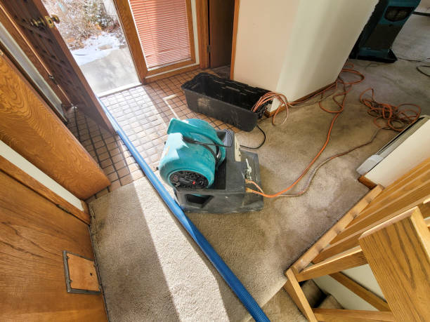 Best Flood restoration services  in Bucyrus, OH
