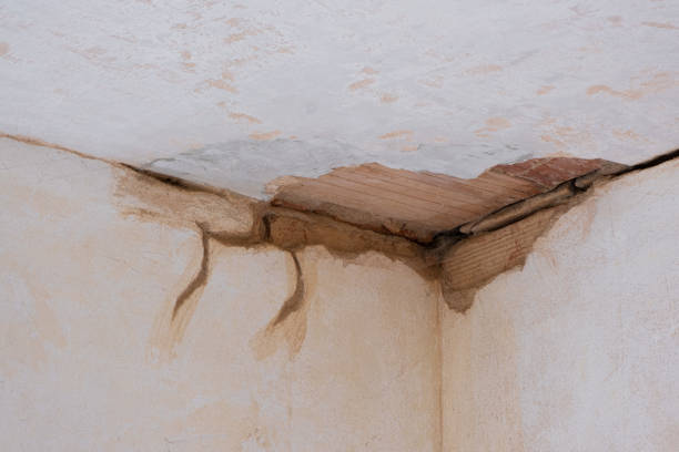 Best Sewage cleanup and water damage restoration  in Bucyrus, OH