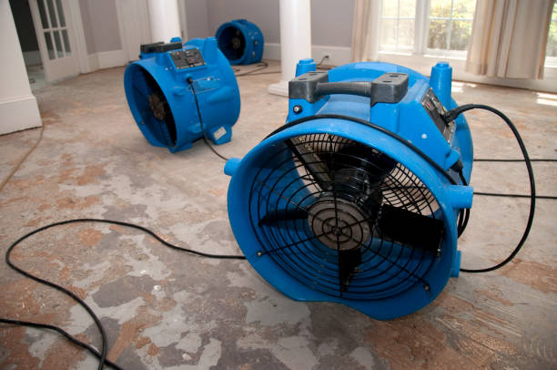 Best Local water damage restoration  in Bucyrus, OH